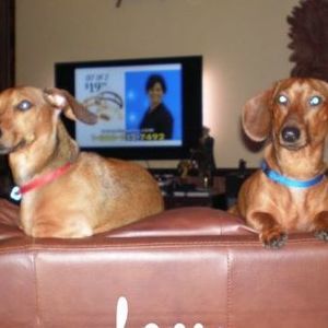 Meet your Posher, Julie